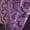Purple, variant on Homesteed Womens Lace Underpants Open Crotch Panties Low Waist Briefs Breathable Underwear Intimate Apparel