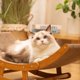 thumbnail image 5 of Cama de Madera para Gatos con Tablero Rascador Desmontable para Gatos, Rascador de Papel Corrugado Desgastado, Juguete para Moler Garras para Gatos L, 5 of 7