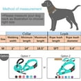 thumbnail image 2 of DEBGFS 2 Packs Martingale Dog Collar with Quick Release Buckle  for Small Medium Large Dogs  Blue M, 2 of 7