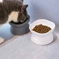 thumbnail image 5 of Cat Food Bowls Elevated Cat Bowls for Food and Water with Base Stand Kitty Bowl 10° Raised Single Bowl, 5 of 15