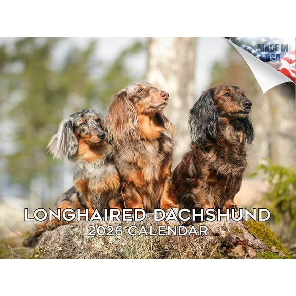 2025 2026 Dachshund Longhaired Calendar - Dog Breed Monthly Wall Calendar - 12 x 18 Open - Thick No-Bleed Paper - Giftable - Made in USA