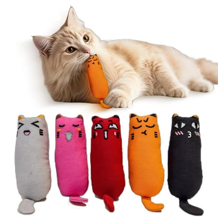 5-Piece Bite-Resistant Cat Chew Toy Set with Catnip Durable Indoor Kitten Toys for Teething and Play