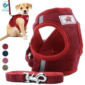 Deago No Pull Dog Pet Harness With Leash Reflective Soft No Choke Easy Control for Small Dog Cat Outdoor Walking Travel (Red, XS)