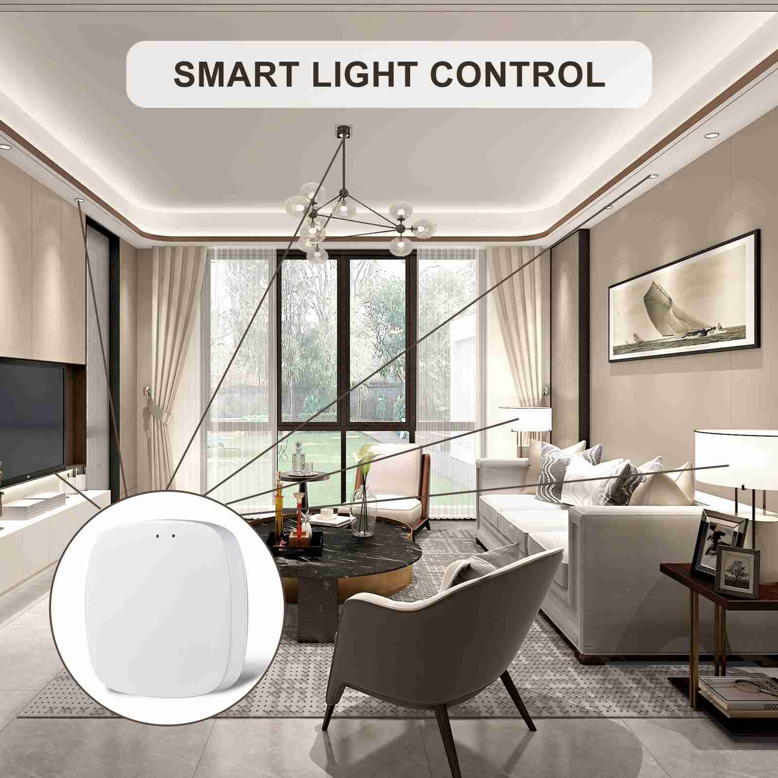 Yajisi Zigbee 3.0 Smart Home Hub Wireless Gateway Bridge Supports Up to 30 Devices Connection APP Voice Control USB Network Automation System 2.6x2.7x0.6 in