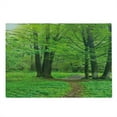 thumbnail image 2 of Nature Cutting Board, Summer Season Forest with Flourishing Trees Grass and Pathway Tranquil Scenery, Decorative Tempered Glass Cutting and Serving Board, Large Size, Fern Green Brown, by Ambesonne, 2 of 5