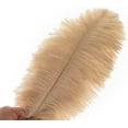thumbnail image 2 of Large Champagne Ostrich Feathers - 24pcs 12-14inch Boho Feathers for Vase and Home Decor Wedding Party Centerpieces, 2 of 14
