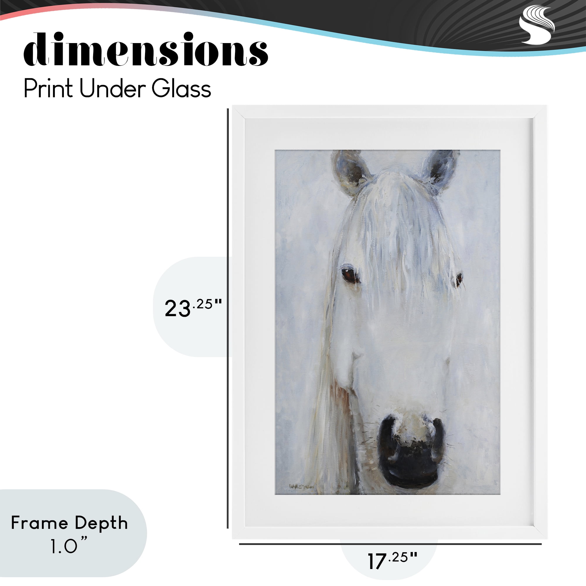 Stupell Industries Pure White Horse Portrait White Framed Print Under Glass, design by Jadei Graphics