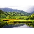 thumbnail image 2 of Head, Danny 18x13 White Modern Wood Framed Museum Art Print Titled - Coastal Marsh II, 2 of 4