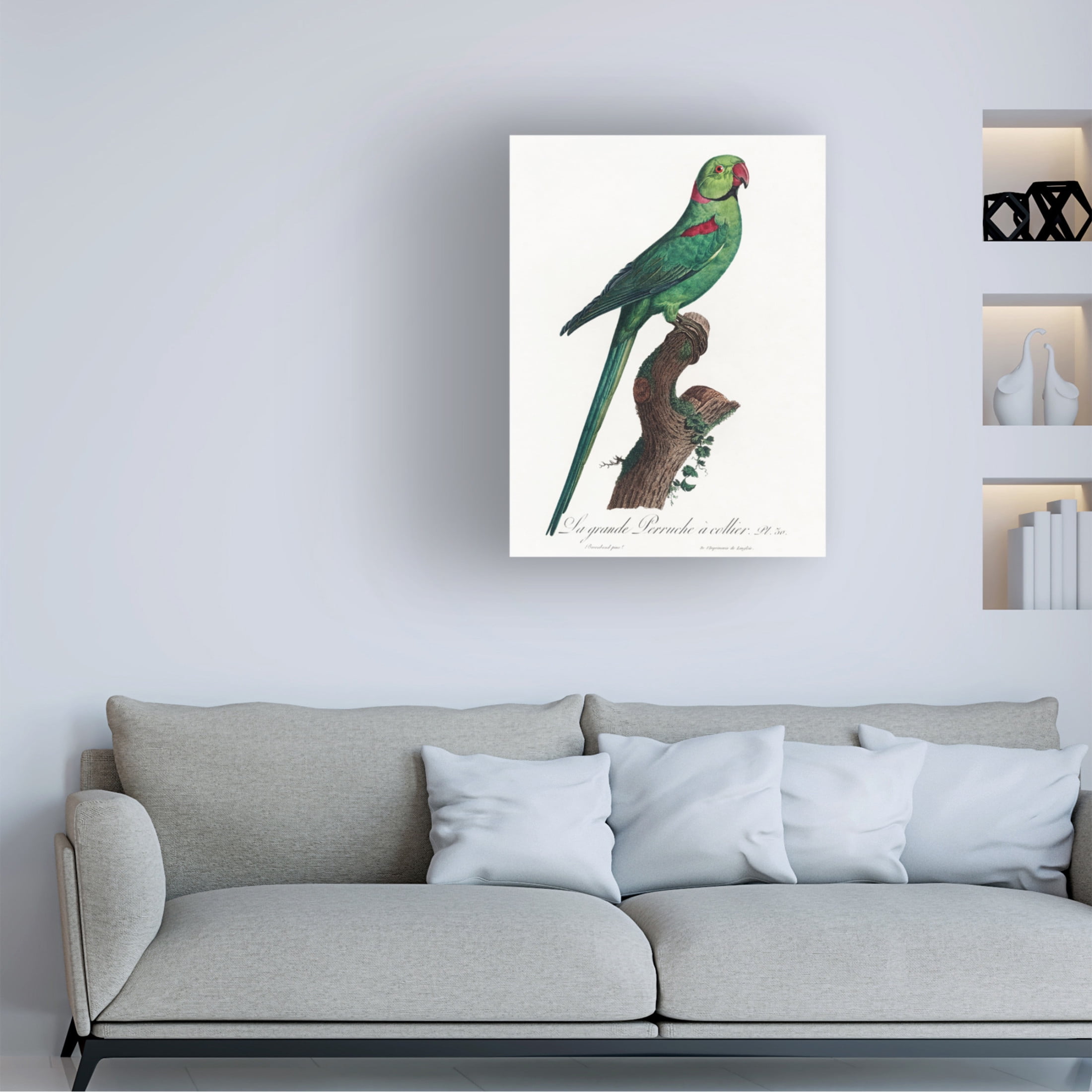 Trademark Fine Art Francois Levaillant  Levaillant Parrot VII Canvas Wall Art