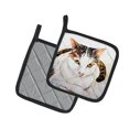 thumbnail image 2 of Caroline'S Treasures Mw1334Pthd Paire de Porte-Casseroles Multicolores pour Chat Lanie, 2 of 3