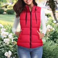 thumbnail image 6 of Jiyugala Women's Overcoat Warm Vest Outerwear Thick Padded Sleeveless Casual Vest With Detachable Hood, 6 of 6