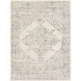 thumbnail image 2 of Livabliss  2 x 3 ft. Roma Machine Woven Rectangle Rug - Multi Color, 2 of 6
