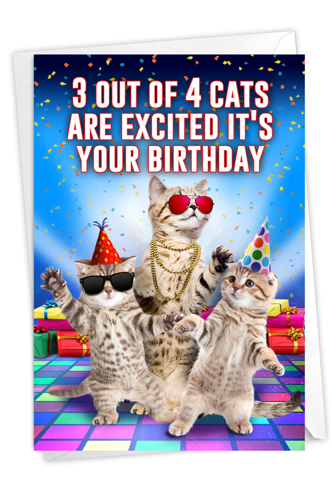 Funny Birthday Card with Envelope Cat Card, Bday Humor C3525BDG