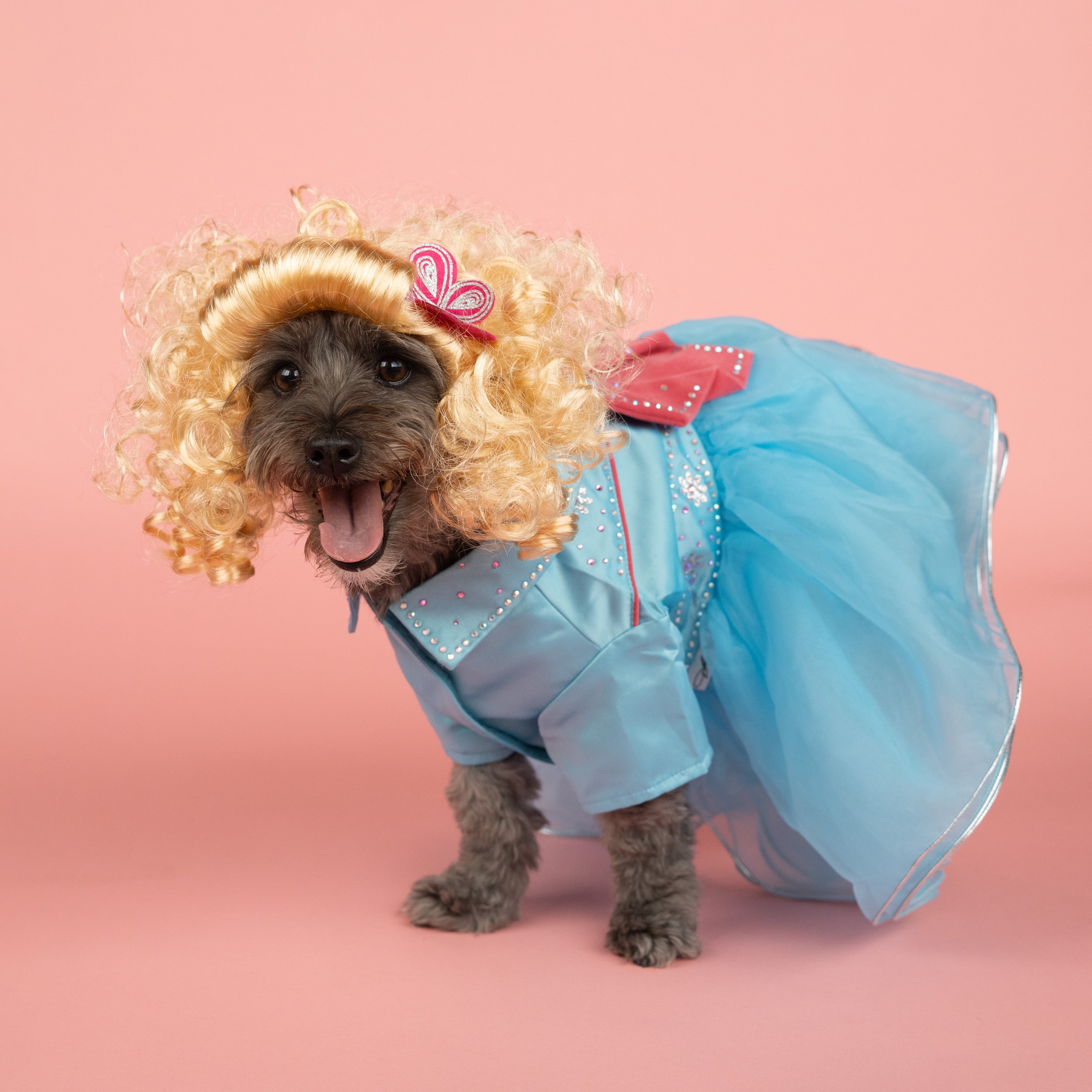 Doggy Parton, Dog and Cat Clothes, Western Rhinestone Tutu Pet Dress, Blue, XS