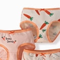 thumbnail image 4 of Eczipvz Little Girls Underwear Girls Cotton Underwear Teen Comfortable Panties Orange 3-4 Years, 4 of 4