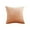 #002-B, variant on YiJuHui 1 PC Velvet Pillow Covers Decorative Throw Pillows Soft Luxury Cushion Covers for Sofa Bed Living Room Bedroom Home Decor 40*40cm
