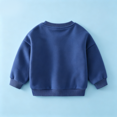 thumbnail image 5 of YOUYEDIAN Toddler Boys Fleece Sweatshirts Long Sleeve Crewneck Dinosaur Pullover Sweater, 5 of 5