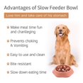 thumbnail image 5 of Dog Bowl Dog Slow Feeder Bowls Bloat Stop Food Bowl Rompecabezas interactivo Healthy Eating Bowl (verde),11 Feliz Sencillez, 5 of 5