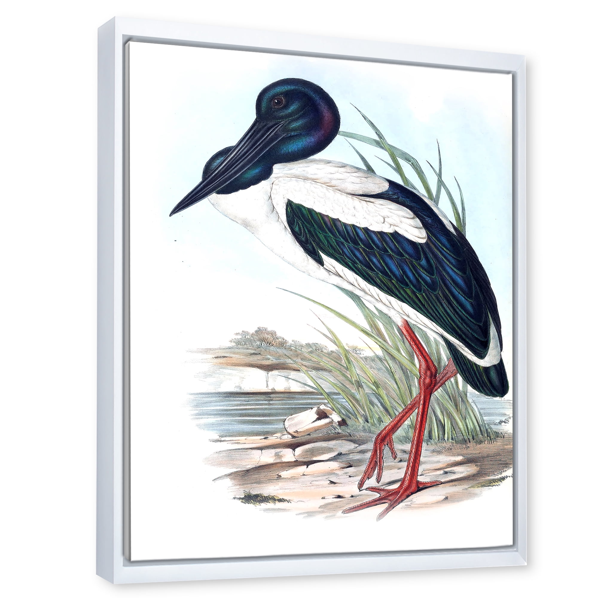Designart 'Australian Vintage Birds I' Traditional Framed Canvas Wall Art Print