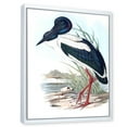 thumbnail image 3 of Designart 'Australian Vintage Birds I' Traditional Framed Canvas Wall Art Print, 3 of 5
