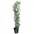 thumbnail image 3 of 1 Pieza Planta Colgante Artificial de Eucalipto en Maceta Falsa para Pared, HabitacióN, Hogar, Patio, DecoracióN Interior y Exterior, 3 of 5