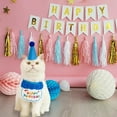thumbnail image 6 of Birthday Party Hat Bibs Scarf And Cat, 6 of 6