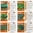 thumbnail image 2 of Bilingual Basic Culinary Herb Garden Seeds Collection - 6 Seed Packets - Cornucopia English & Spanish Instructions - Arugula, Parsley, Oregano, Dill, Cilantro, Chives - Semillas - Español e Inglés, 2 of 8