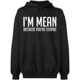 thumbnail image 2 of OXI Hoodie Sweatshirt - I Am Mean Because You Are Stupid, Basic Casual Hoodie for Men's and Women Fleece Hoodie Long Sleeve - Dark Heather 3X-Large, 2 of 3