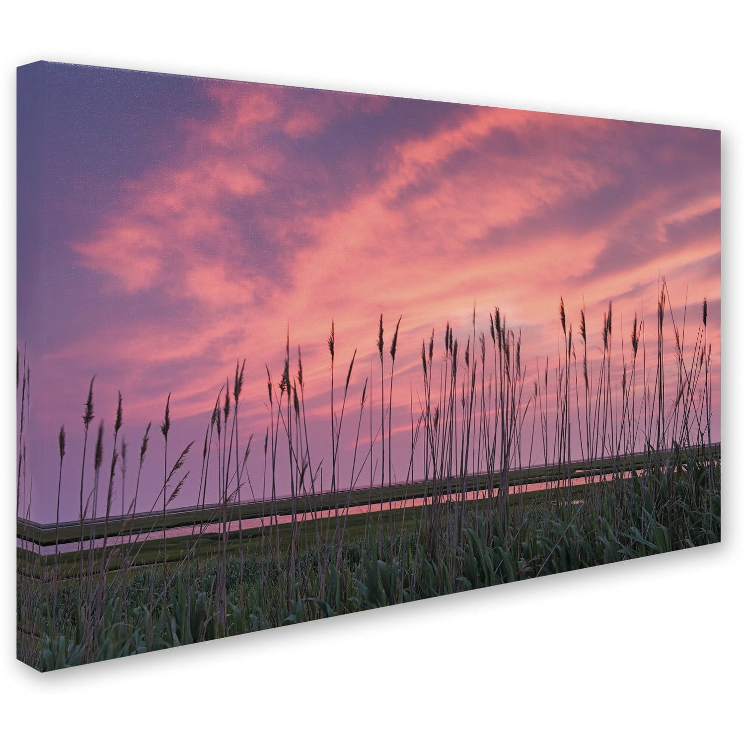 Trademark Fine Art "Marsh Reeds" Canvas Art by Michael Blanchette Photography