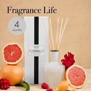 LAFCO New York Classic Reed Diffuser, Champagne - 6 oz