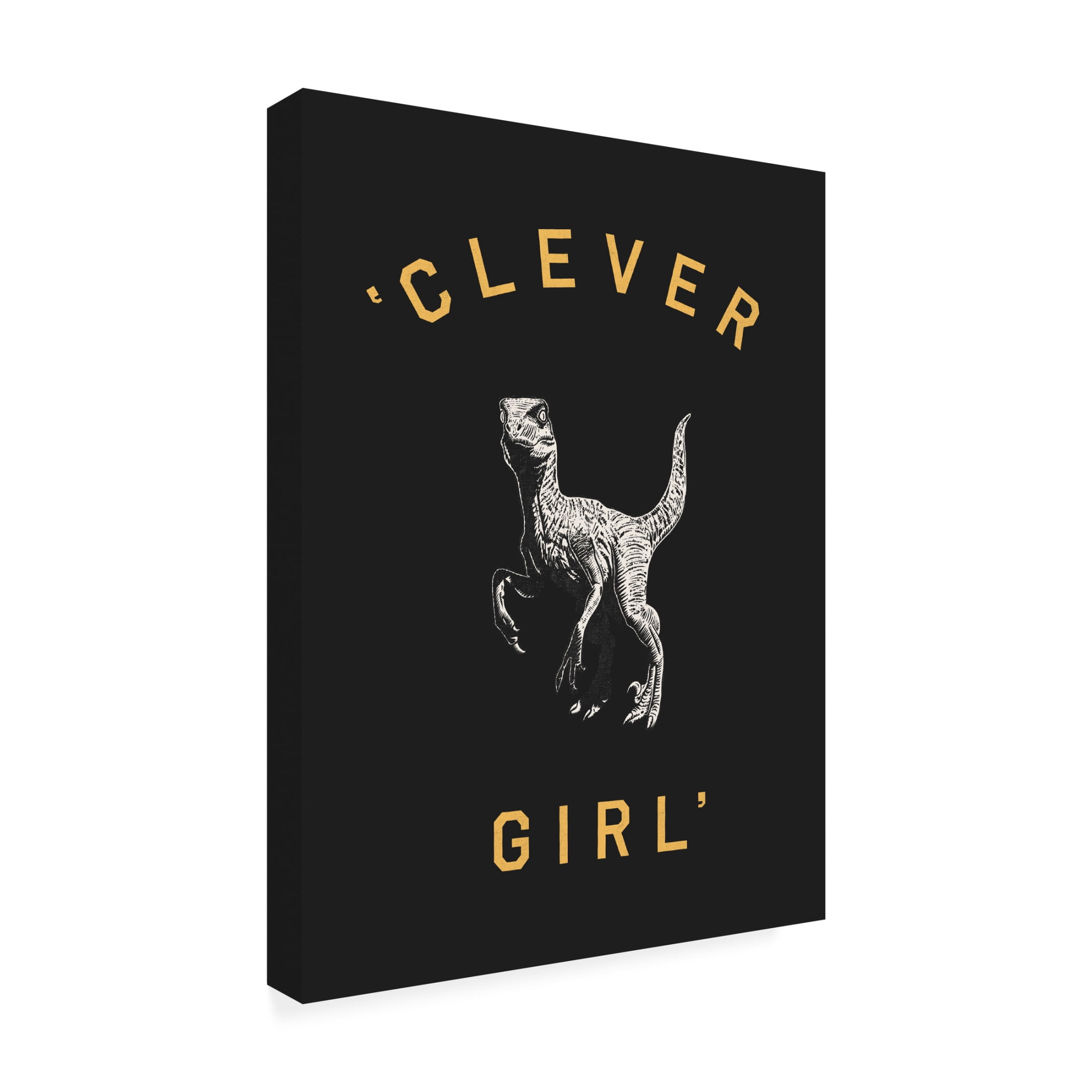 Trademark Fine Art Florent Bodart  Clever Girl Dark Print Canvas Wall Art