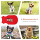 thumbnail image 3 of Cuadros Decorativos DIY ropa para mascotas dibujos animados ratón diamante pintura camisetas perros gatos trajes de verano JShteea Nuevos Originales, 3 of 8