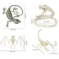 thumbnail image 6 of Dserhfy Halloween Animal Skeletons Dog Bat Frog Scorpion Spider Snake Rat Bone Skeletons for Halloween Party Haunted House Graveyard Scene Decoration, 6 of 8