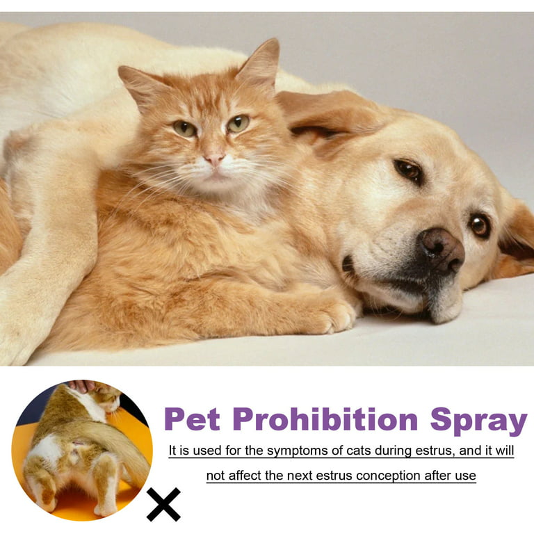 KOAHDE Liquide Pet Puant,Puant Spray,Spray Odeur Pet,Spray Pet
