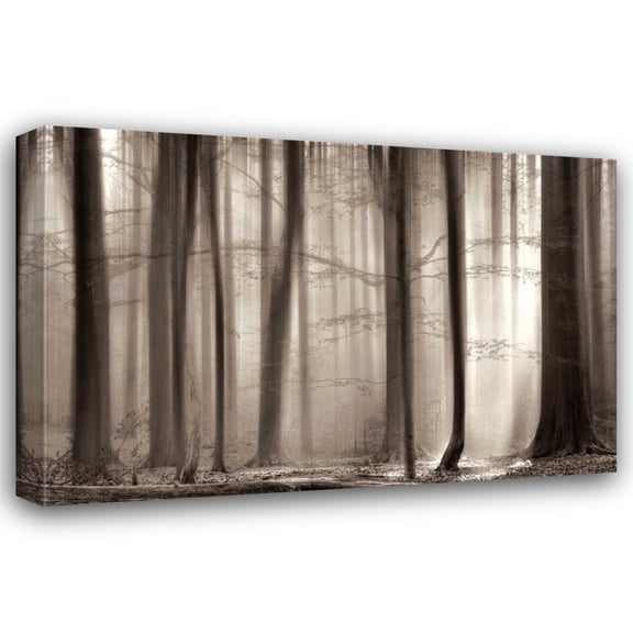 Lars Van De Goor 18x13 Gallery Wrapped Canvas Wall Art Titled - The Cloaking