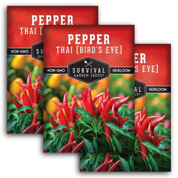 Bird's Eye Thai Pepper Seeds - Non-GMO Heirloom Full Sun Annual Vegetable (3 Packs)