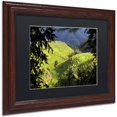 thumbnail image 2 of Trademark Fine Art "Longsheng" Canvas Art by Philippe Hugonnard, Black Matte, Wood Frame, 2 of 4