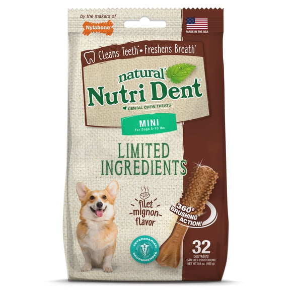 Nylabone Nutri Dent Filet Mignon Flavored Dental Dog Chew Treats Mini (32 Count)