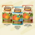 thumbnail image 2 of Weruva Pumpkin Patch Up! Pumpkin Pouches for Dogs & Cats, 2 of 3