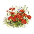 thumbnail image 1 of (H773) Hilo Algodón Ecológico 14CT 2 Hebras 36*31 CM Flores en Serie Flores Punto Cruz Tela Hecha A Mano Kit Bordado DIY (Instrucciones en Inglés), 1 of 10