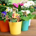 thumbnail image 3 of Decoration Pot Home Decoration Flower Flower Creative Crafts Home Decor, 3 of 6