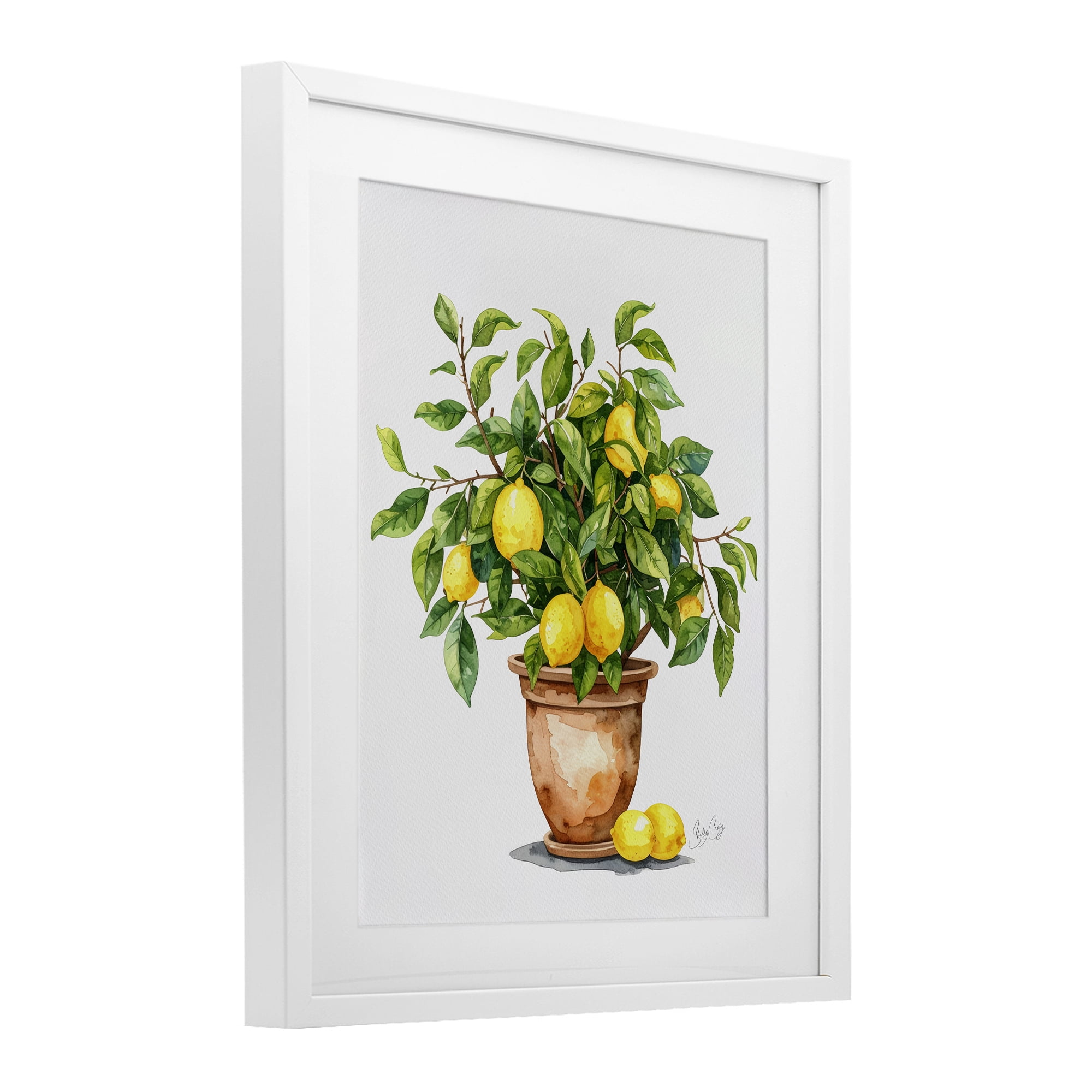 Stupell Industries Potted Lemon Tree White Framed Print Under Glass, design by Shelly Craig