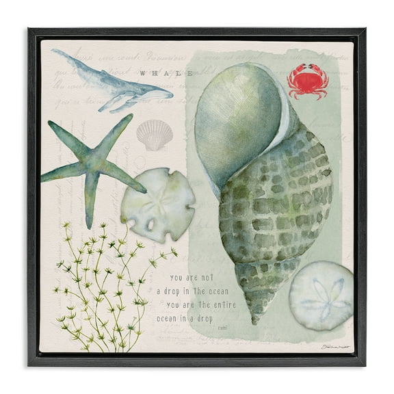 Stupell Industries Sea Shell Inspirational Collage Inspirational Painting Black Floater Framed Canvas Art Print Wall Art, 18 x 18