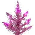 thumbnail image 2 of 2 x 20" Pink Fir DuraLit 50Pink, 2 of 2