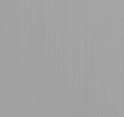 Arctic Grey