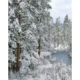 thumbnail image 2 of Terrill, Steve 15x18 White Modern Wood Framed Museum Art Print Titled - Oregon Fresh snowfall along Warm Springs River, 2 of 4