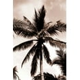 thumbnail image 2 of Blue, Cyril 11x14 White Modern Wood Framed Museum Art Print Titled - Coconut Palm, Bali, 2 of 4