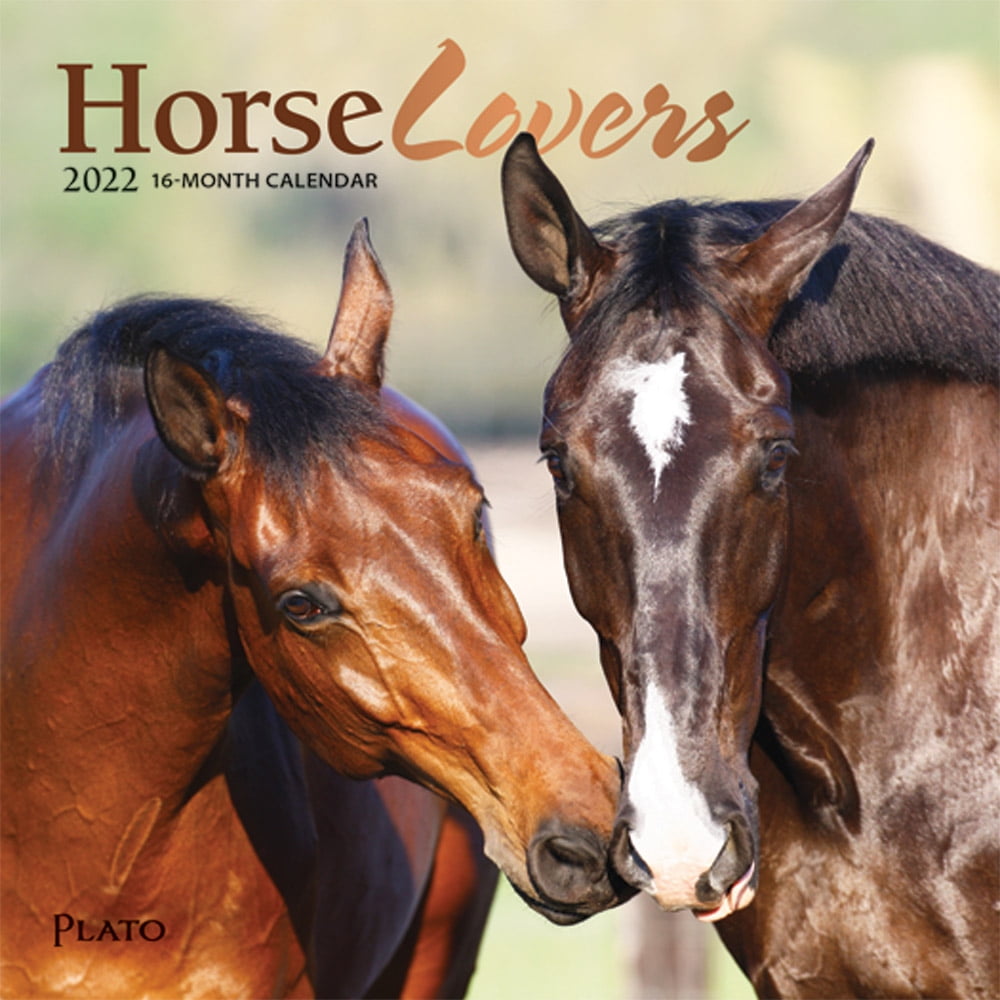 Lang Horses In The Mist 2022 Wall Calendar (22991001917) - Walmart.com