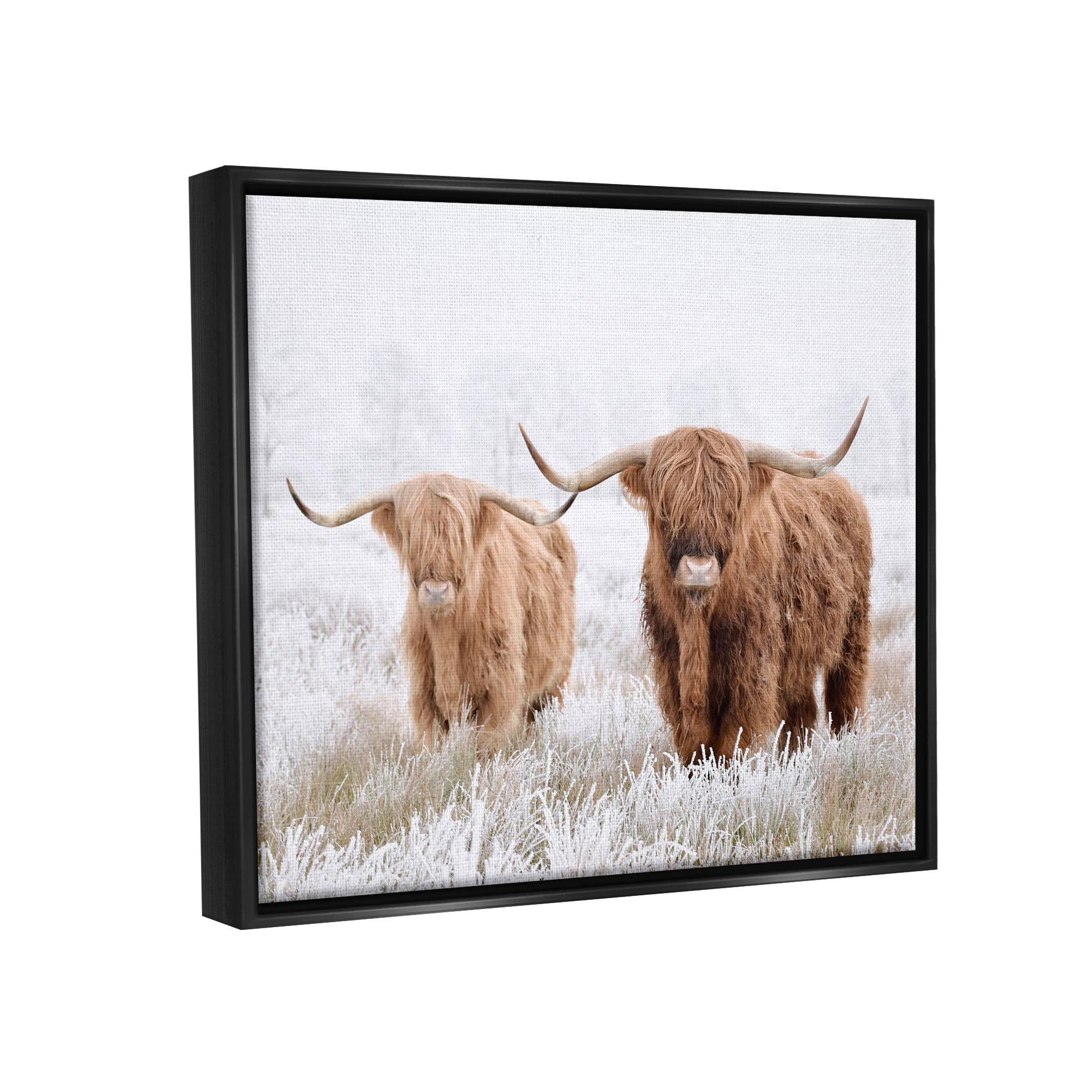 Stupell Industries Longhorn Cows in Snow Animals & Insects Photography Black Floater Framed Canvas Art Print Wall Art, 31 x 25