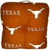 College Covers TEXFP Texas Floor Pillow